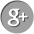 Google+